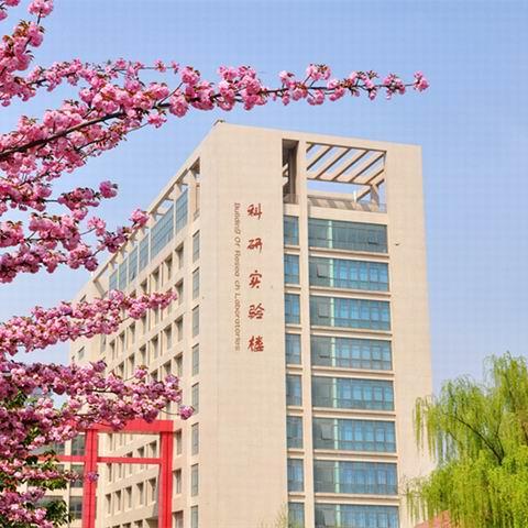 世界教学水平排名,世界上教学质量最好的学校