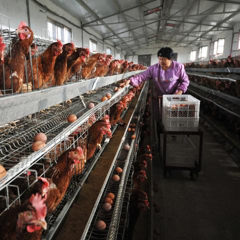 今日济阳区疫情最新消息,今日济阳区疫情最新消息情况