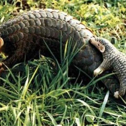 今日热搜榜最新排行,今日热搜榜前十名单