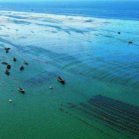 长滩三室二厅出租信息最新,长滩新楼盘