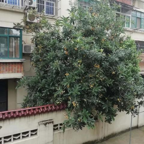 微头条陈旧新闻该怎么改,微头条发布后还能修改吗