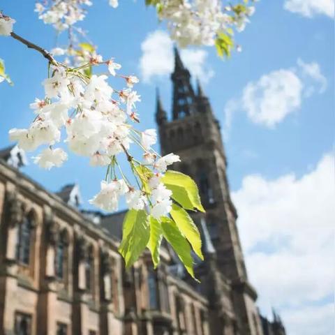 世界精算大学排名，世界精算专业大学排名