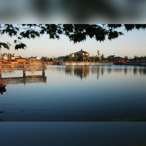 如东在世界排名,如东50强企业