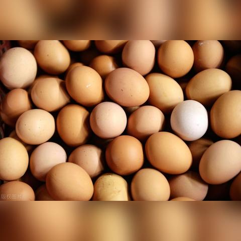 潍坊今日蛋价最新,潍坊蛋价上涨