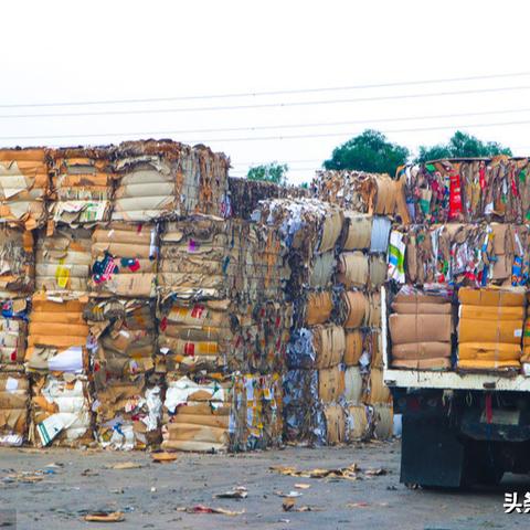 今日纸业新闻最新消息，今日纸业新闻最新消息内蒙古
