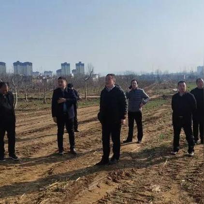 灵宝今日拆迁最新消息,2021灵宝最新规划