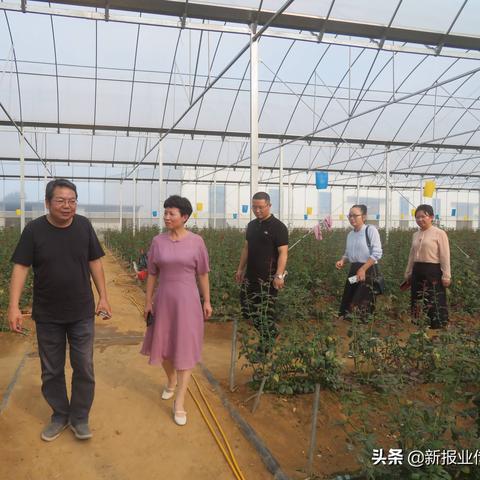 信阳良辰新闻头条,信阳新闻网