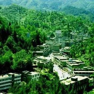 世界黄连之乡产地排名,世界黄连之乡产地排名第几