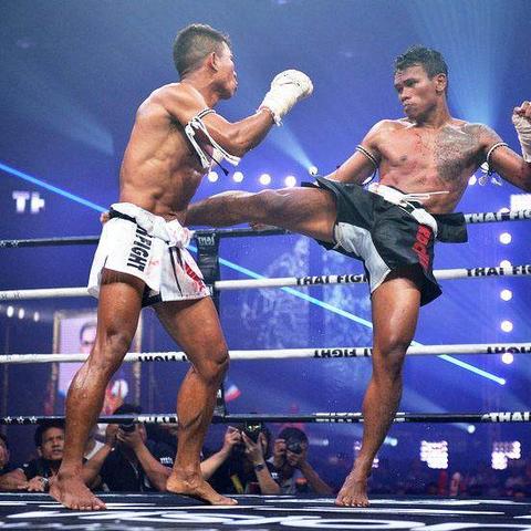 世界最毒蛇排名，世界最毒蛇排行榜前十名