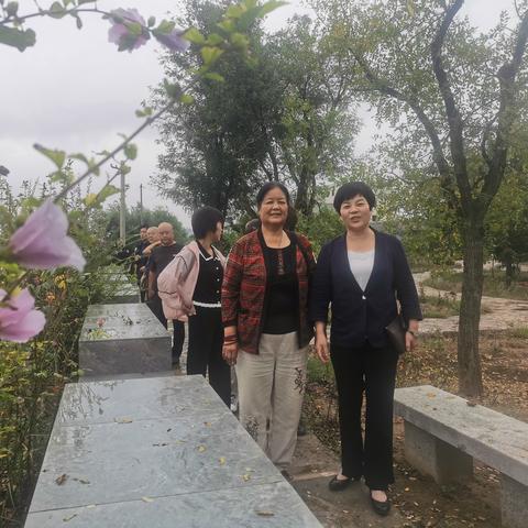 桃源山庄茶叶价格查询最新,桃源山庄饭店