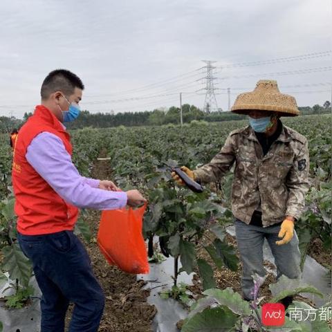 敖汉旗大棚出租转让最新消息,敖汉旗有大棚蔬菜基地吗