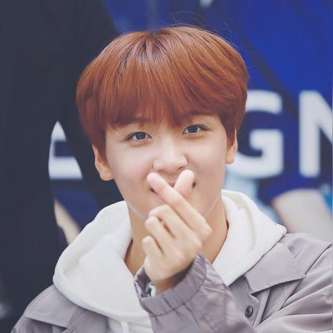 世界流行组合排名单,世界流行歌手排名