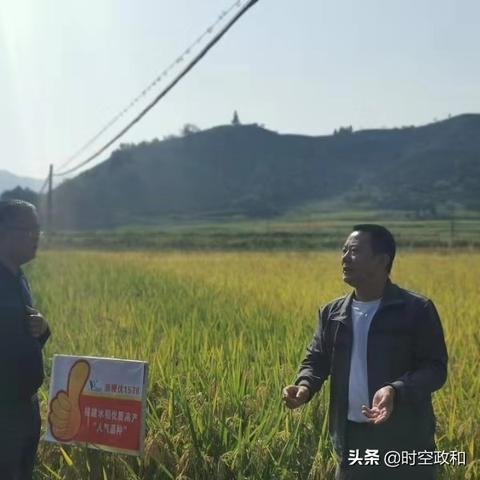 松溪茶坪事故视频曝光最新，松溪县茶叶