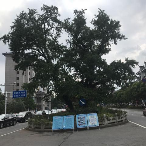 四川最新的石塔在哪里,成都石塔寺