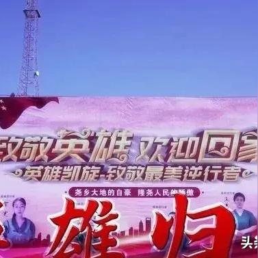 挖菜最新视频播放下载免费，挖野菜视频全集