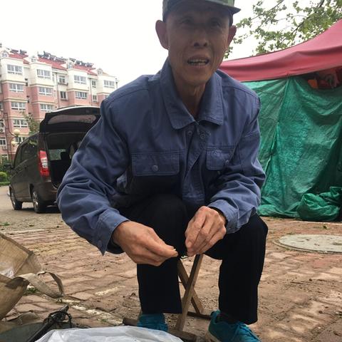 挖菜最新视频播放下载免费,挖野菜视频全集