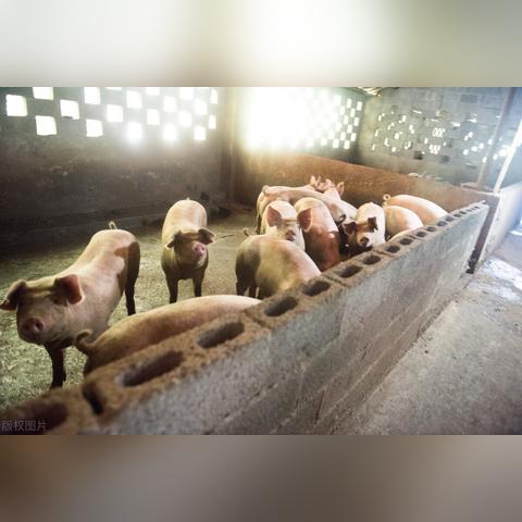 湖南新闻今日油价最新消息,湖南今天新闻头条最新消息