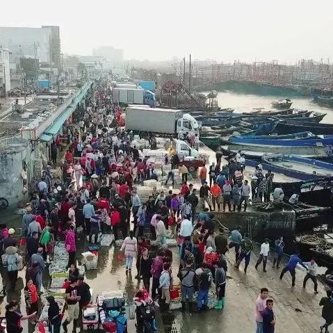 今日买鱼货最新消息图片,今天市场鱼价格是多少