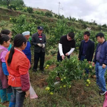 德江市新闻头条,德江新闻头条今日新闻