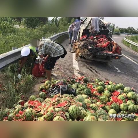 今日鹿邑高速最新路况，鹿邑县今天高速封路吗