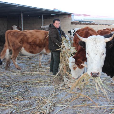 今日扶贫新闻最新消息,今日扶贫新闻最新消息内蒙古