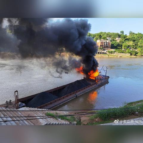 今日贵州煤价格最新消息，贵州煤炭价格行情