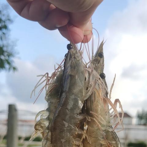 如东县今日疫情最新消息,如东今天最新新闻事件报道