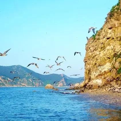 青岛小珠山最新消息今日，青岛小珠山旅游攻略