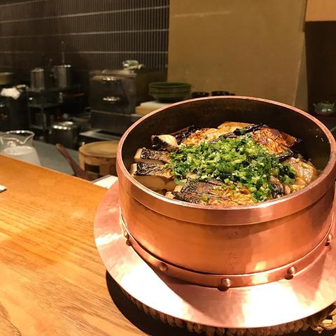 哪里可以查询到黑鲷鱼的最新价格,黑鲷鱼价格多少钱一斤