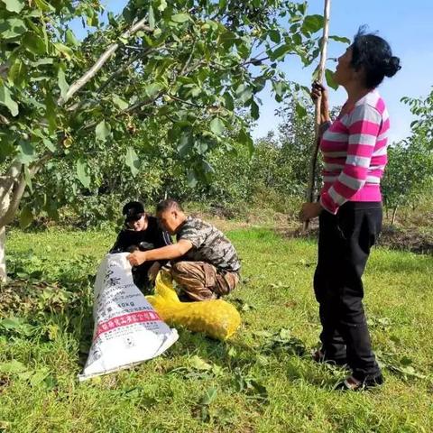 今日温宿最新消息，今日温宿最新消息通知