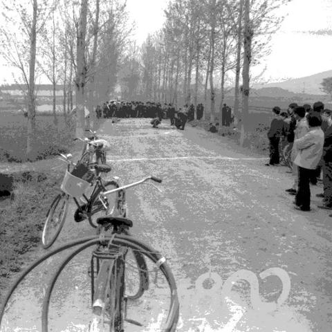 最新宜城命案新闻头条,最新宜城命案新闻头条报道