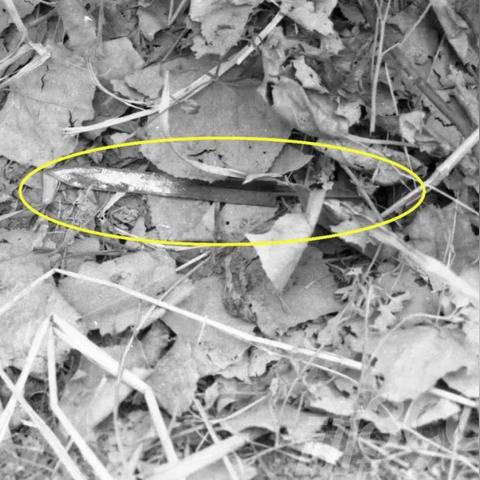 最新宜城命案新闻头条,最新宜城命案新闻头条报道