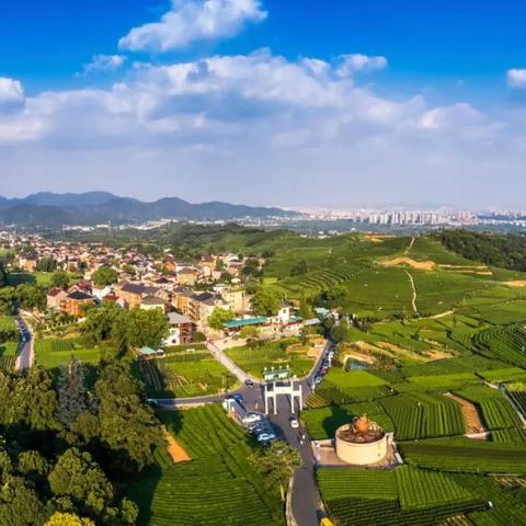 茶乡西乡今日头条新闻，西乡茶镇有钱人