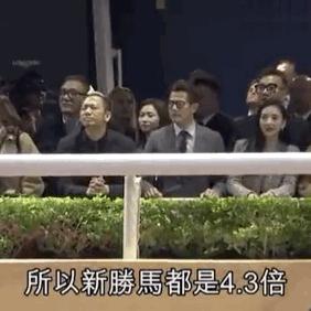 世界赛马比赛奖金排名,世界赛马冠军