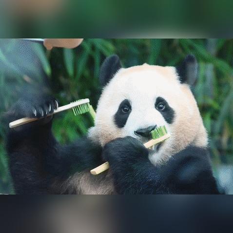 福宝今日新消息最新消息,福宝集团