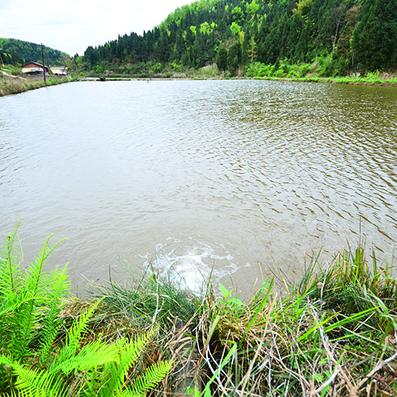 雅人清致 第2页