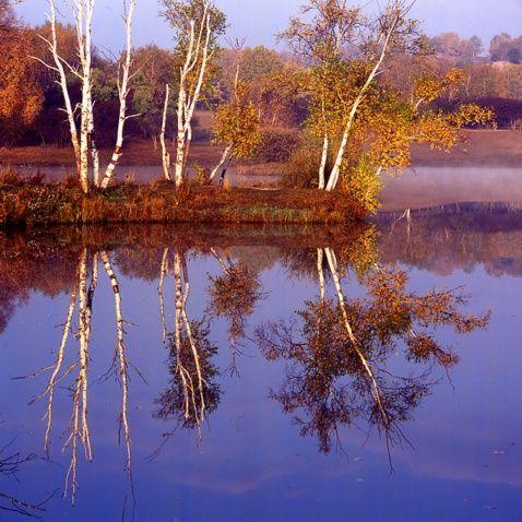 赤峰二五八赶集时间表最新,赤峰赶集网招聘最新招聘