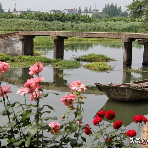 南北镇新闻头条，南北镇属于哪个区