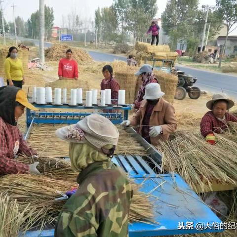 南北镇新闻头条,南北镇属于哪个区