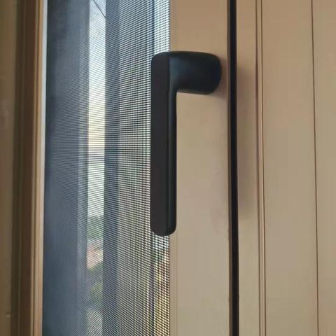 一花独放 第2页