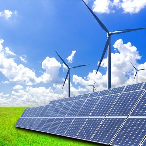 坌鸟先飞 第2页