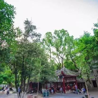 宁波纳凉新闻头条,宁波纳凉的地方