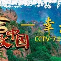 温泉直播广州视频大全最新，温泉现场