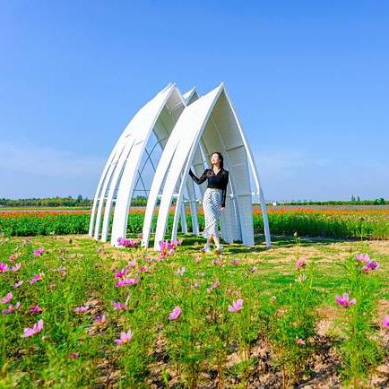 高淳新闻头条花海,高淳花海现在好玩吗