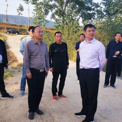 乍曲镇新闻头条,内乡乍曲镇政府领导班子