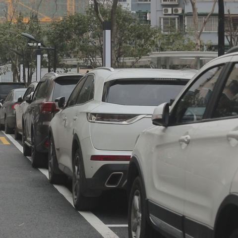 假山新村诈骗事件视频最新，假山新村是什么街道