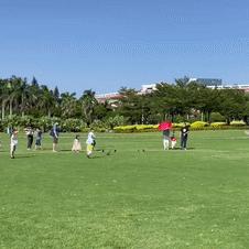 厦门最新消息今日情况,厦门最新疫情动态