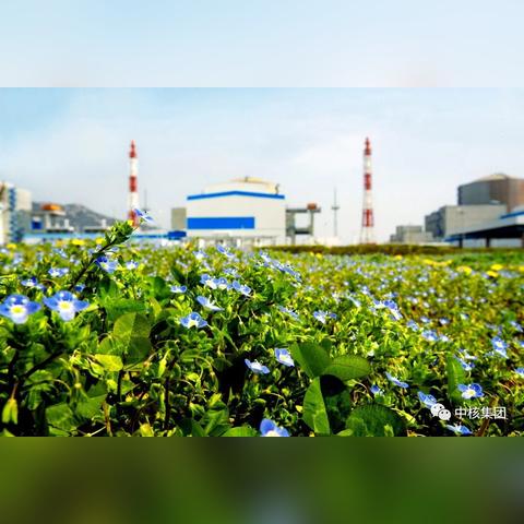 中国核电世界企业排名,中国核电企业排行