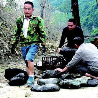 临沂彩陶小区新闻头条,临沂彩石瓦