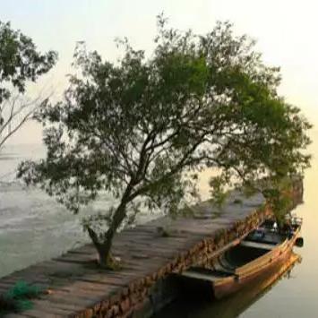 今日苏州之旅最新消息,今日苏州之旅最新消息视频